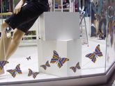 Vitrine